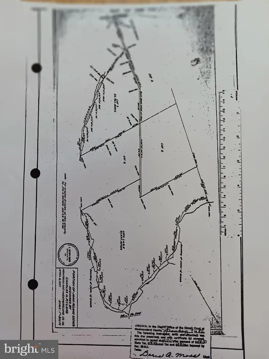 Property in Westmoreland