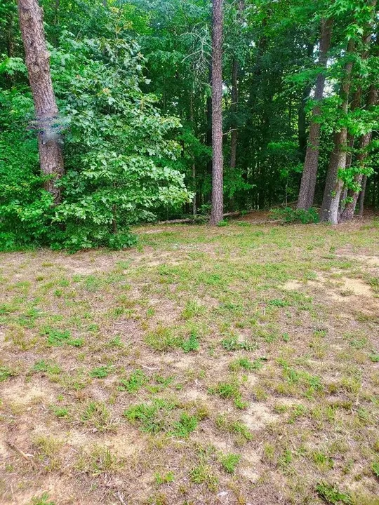 Property in Westmoreland