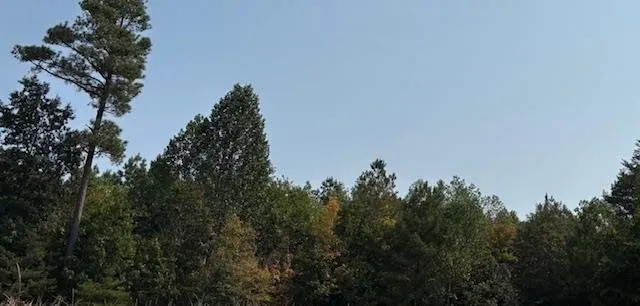 Property in Richmond County