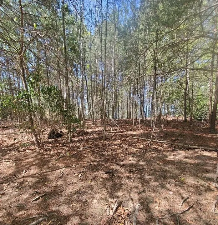 Property in Westmoreland