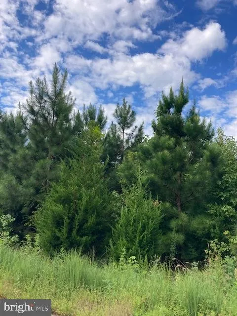 Property in Westmoreland